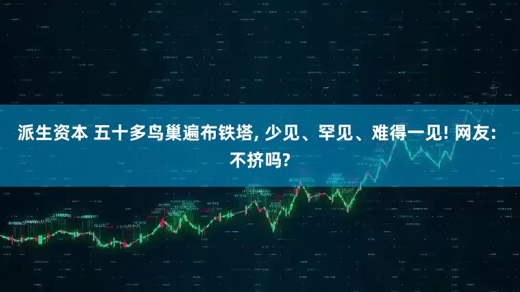 派生资本 五十多鸟巢遍布铁塔, 少见、罕见、难得一见! 网友: 不挤吗?