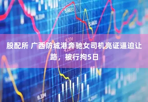 股配所 广西防城港奔驰女司机亮证逼迫让路，被行拘5日